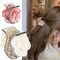 3-Pack Camellia Flower Hair Clips (Pink, Champagne, White), 3 Colors Transparent